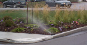 Town & Country - Commercial Landscaping - Flower Beds